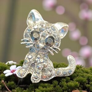 Sparkling Silver and AB Rhinestone Brooch